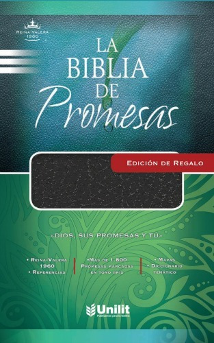 Biblia De Promesas Rvr1960 Ed Imitación Piel, Negro