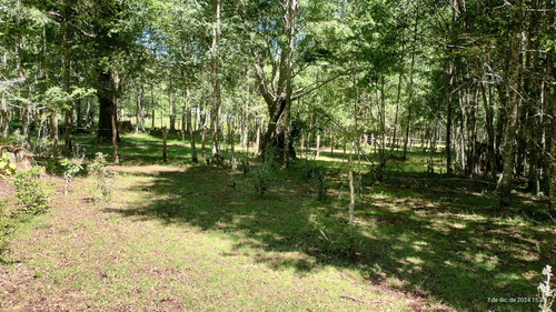 En Venta, Hermoso Campo Cercano A Lican Ray (94750)