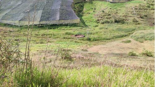 Vendo Lotes En El Carmen De Víboral Antioquia Sector Cristo Rey Ch