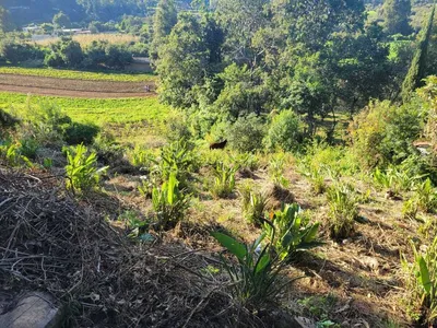 Terreno en venta