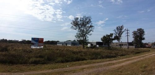 Imagen 10 de 14 de Gran Predio En Zona Industrial (para Utilizar En Bloque O Subdividir)