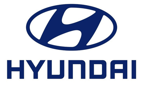 Tanque Radiador Hyundai / Kia Sportage Rayado Corto Entrada