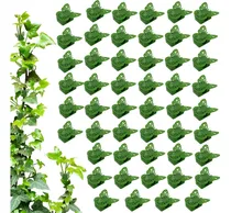 Comprar Clips De Pared Para Trepar Plantas Clips De Mariposa Para Pl