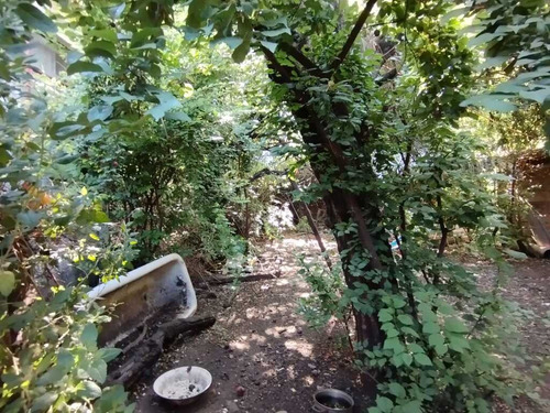 Imagen 4 de 28 de Venta Propiedad 1100 Mts2 // Los Angeles (656)