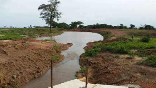 Imagen 6 de 14 de Terreno En Venta En San Carlos