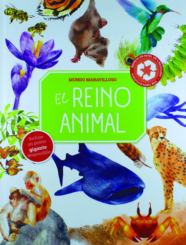 Mundo Maravilloso: El Reino Animal: Libro Infantil Mundo Maravilloso : El reino animal, de Neville, Joanna. Serie Mundo Maravilloso: Naturaleza Sorprendente Editorial Jo Dupre Bvba (Yoyo Books), tapa dura en español, 2021