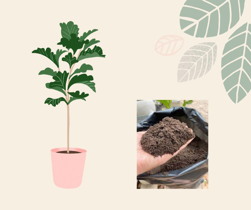 2 Bolsas Tierra Compost Huerta Y Jardín Excelente Calidad