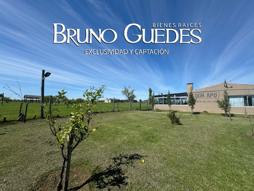 Se Alquila Chacra Con Salón De Eventos Y Canchas De Futbol Rincón Del Cerro Montevideo Rural