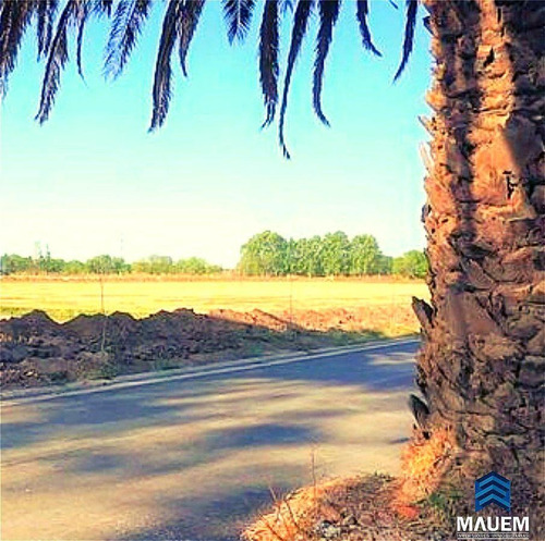 Imagen 4 de 4 de Terreno - Mansos Del Sur