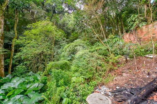 Imagem 20 de 30 de Terreno - Residencial - 147436