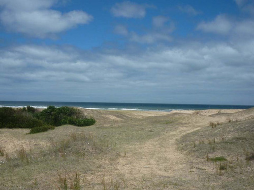 Venta Campo En Rocha 1519 La Pedrera Marítimo Ganadero (ref: Cbr-1233)