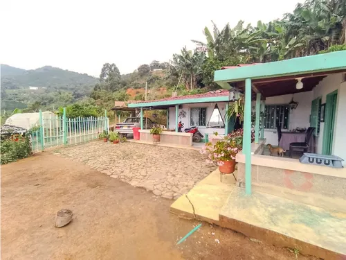 Finca En Fredonia Vereda La Cordillera
