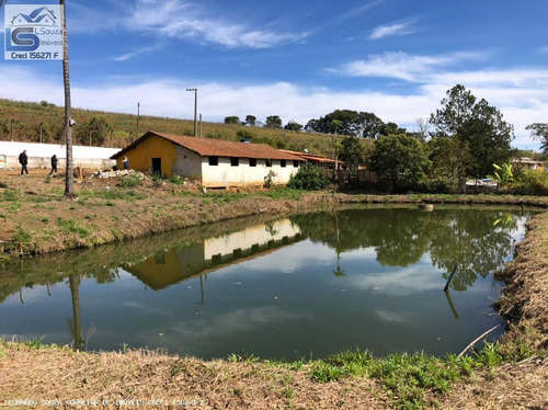 Imagem 6 de 15 de Chácara Para Venda Em Pedra Bela, Zona Rural, 3 Dormitórios, 2 Banheiros - 1184_2-1222483