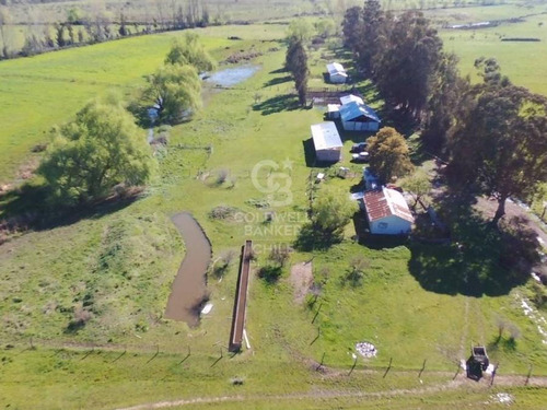 Fundos Agrícolas En San Carlos