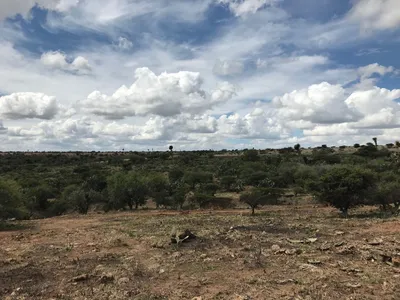 Terreno en venta