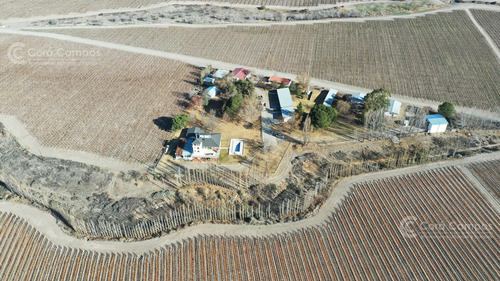 Se Vende Finca En Valle De Uco Mendoza. 300 Ha De Viñedo En Producción Unicas. Lo Mejor