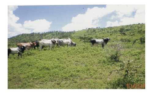 Imagen 8 de 14 de Se Vende Finca Agropecuaria - Cerca San Juan De Los Morros