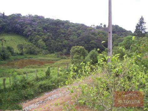 Imagem 2 de 20 de Sítio À Venda, 163000 M² Por R$ 650.000,00 - Vargem Do Salto - Ibiúna/sp - Si0001