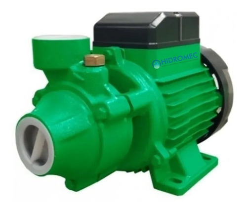 Imagen 1 de 7 de Bomba Periférica Rowa Pr 60 De 1/2 Hp Monofásico Eleva 33mts