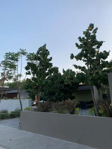 Se Vende Casa En En Condado Queretaro