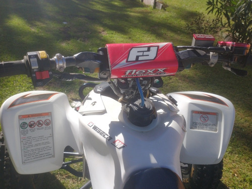 Imagen 11 de 12 de Honda Honda Trx 450