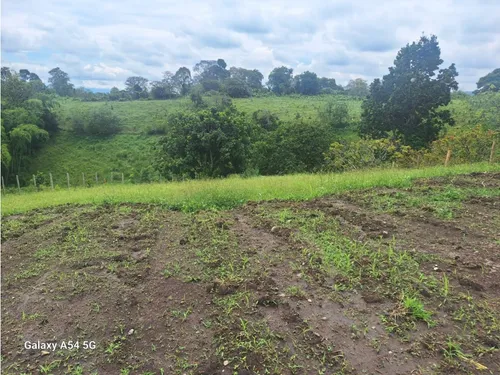 Venta Lote En Quimbaya. Quindio - Colombia Cod: 7970490