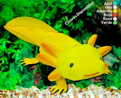 Axolote Ajolote Papercraft Armado En Papel 3d