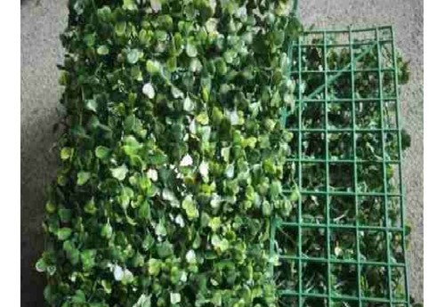 Imagen 3 de 3 de Muro Verde Jardin Vertical 60 X 40 Cm