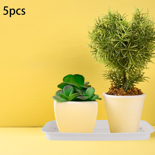 5x Platillos Para Plantas, Bandejas Para Plantas, Platillos