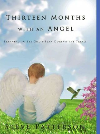 Libro Thirteen Months With An Angel : Learning To See God...