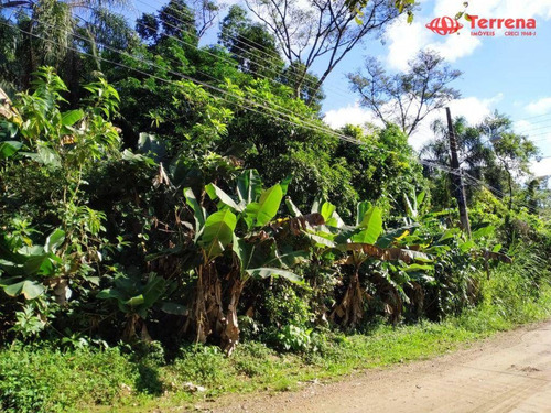 Imagem 3 de 4 de Excelente Terreno Plano Com 1.719,27m² - Velha - Blumenau/sc - Te0168