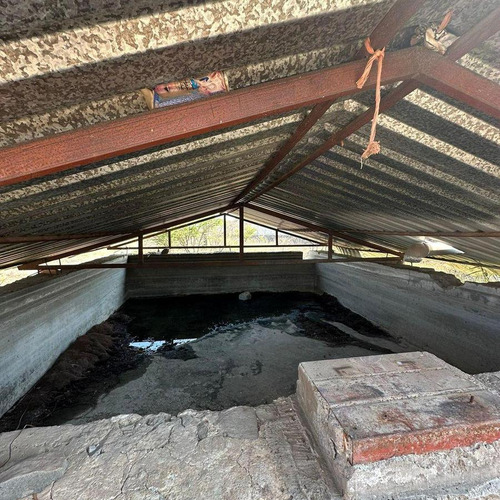 Magnífico Rancho Ganadero Con Excelentes Instalaciones Sup. 25 Hectáreas.