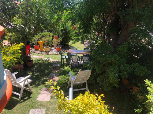 Casa En Alquiler En Piriapolis Con Parque Arbolado, Barbacoa Con Heladera Y Comedor Para 10 Personas