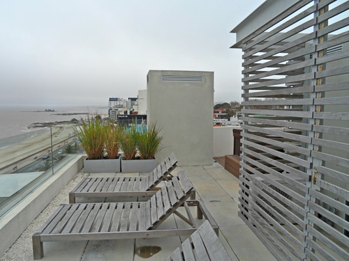 Imagen 9 de 12 de Apartamento Monoambiente A Metros Del Mar.