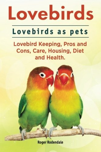 Lovebirds Lovebirds Como Mascotas Lovebird Manteniendo Los P