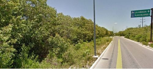 Imagen 2 de 3 de Maginifico Terreno Para Desarrolladores En Cancun! C2003