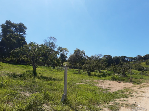 Imagem 4 de 7 de Terrenos De 600m2 15 Por 40! Excelente Localização! Aproveite. G.06