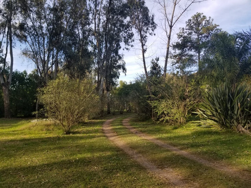 Imagen 8 de 10 de Oportunidad De 37.600 Mts En La Pista C/gran Casa De Campo
