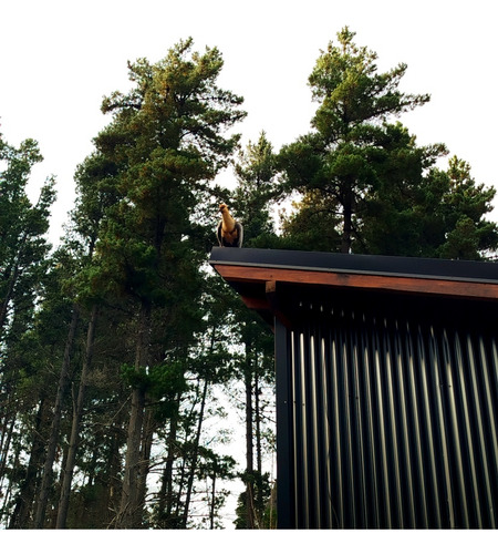 Alquiler De Cabaña En Bariloche