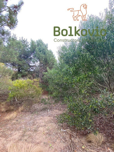 Imagen 6 de 8 de Lote En Venta - Ecuestre 72.