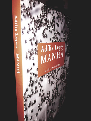 Imagem 2 de 4 de Adilia Lopes - Manhã