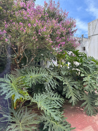 Casa En Venta A Refeccionar Excelente Ubicación Pellegrini 173. 4 Dormitorios