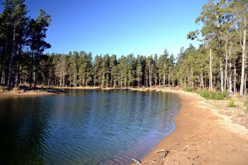Imagen 6 de 25 de Venta - Lote Con Vista A Laguna Y Bosque En Viilla Robles - Barrio Cerrado