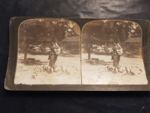 Imagen 4 de 7 de Antiguas Fotografías Japon Estereoscópicas 1900. 51614.