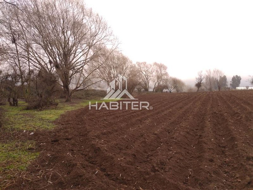 Imagen 5 de 30 de Agrícola En Venta En Teno