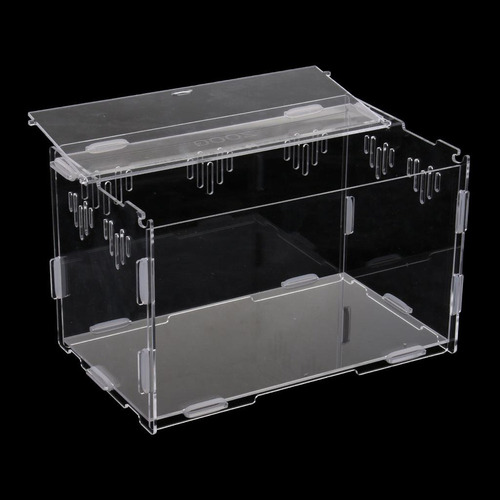 M Recipiente Para Terrarios De Reptiles S