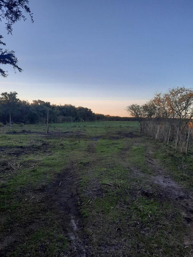 Imagen 11 de 12 de Campo - Costa Del Uruguay
