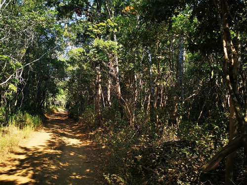 Sitio En Venta En Pelluhue