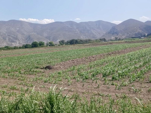Terreno En Venta En Carlos Real (san Carlos), Lerdo, Durango