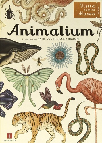 ** Animalium ** Katie Scott Y Jenny Broom Oceano Español